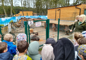 Zdjęcie przedstawia dzieci podczas zwiedzania ZOO przy wybiegu jeżozwierza.