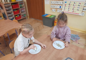 Na tym zdjęciu widać dziewczynki: Celinkę i Hanię N., które chciały spróbować gotowej sałatki.