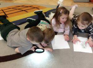 Warsztaty przyrodnicze