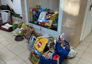 Zdjęcie przedstawia dary przekazane przez rodziców i dzieci na rzecz łódzkiego schroniska przy ul. Marmurowej.