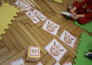 Na tym zdjęciu widać obrazki wykorzystywane w grze "Minki".