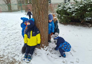 Zdjęcie przedstawia chłopców podczas zabaw w zimowym ogrodzie.