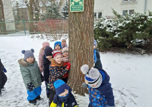 Zdjęcie przedstawia chłopców podczas zabaw w zimowym ogrodzie.