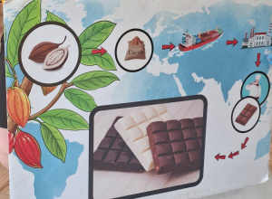 Warsztaty czekoladowe