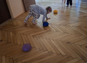 Zajęcia ruchowe wspierające rozwój fizyczny z elementami gimnastyki korekcyjnej