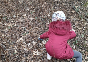 Zdjęcie przedstawia dzieci podczas porządkowania najbliższego terenu wokół przedszkola.