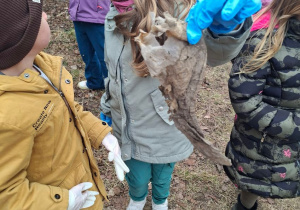 Zdjęcie przedstawia dzieci podczas porządkowania najbliższego terenu wokół przedszkola.