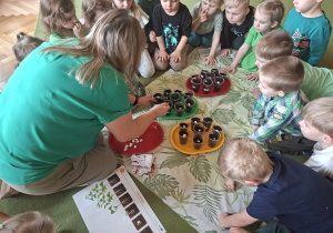 Na tym zdjęciu widać dzieci oraz nauczycielkę, która przysypuje ziemią umieszczone przez dzieci w kubeczkach nasiona.