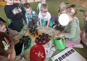 Zdjęcie przedstawia dzieci obserwujące, jak Rozalka podlewa nasiona w kubeczkach.