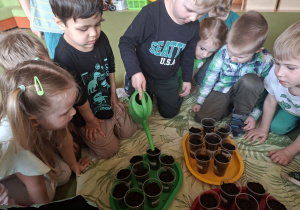 Zdjęcie przedstawia dzieci obserwujące, jak Olek C. podlewa nasiona w kubeczkach.