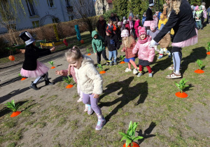 Na tym zdjęciu widać dzieci biorące udział w konkurencji polegającej na przechodzeniu między marchewkami w parach ze złączonymi nogami.