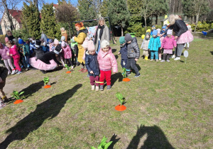 Na tym zdjęciu widać dzieci biorące udział w zabawie plegającej na chodzeniu miedzy marchewkami ze złączonymi nogami.