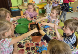Zdjęcie przedstawia Jagodę L, Marcelinę, Dominika S. oraz trzy inne dziewczynki wysiewające nasiona do skrzynki wypełnionej ziemią.