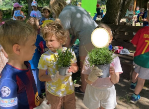 Sadzenie roślin w ogrodzie przedszkolnym