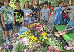 Zdjęcie przedstawia dzieci zgrupy IV oraz Henia D. z grupy I przy zgromadzonych na stoliku roślinach do wysadzenia.