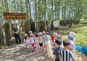 Zdjęcie przedstawia dzieci przed wejściem do brzozowego labiryntu.