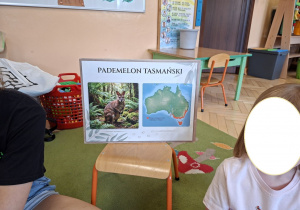 Na tym zdjęciu widać planszę ukazującą miejsce występowania pademelona tasmańskiego.