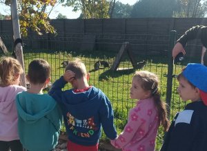 Wycieczka na farmę dyń w Dobroniance