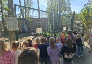 Zdjęcie przedstawia dzieci z grupy II oraz kilka dziewczynek z grupy IV podczas zwiedzania mini zoo.
