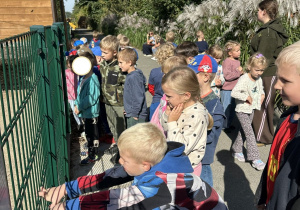 Zdjęcie przedstawia dzieci z grupy IV podczas zwiedzania mini zoo..