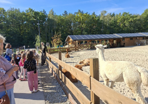 Na tym zdjęciu widać dzieci podczas zwiedzania mini zoo.