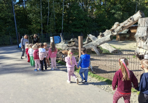 Na tym zdjęciu widać dzieci podczas zwiedzania mini zoo.