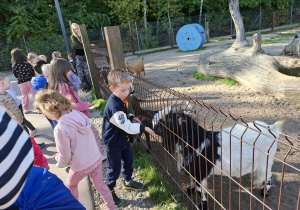Zdjęcie przedstawia dzieci podczas karmienia zwierząt.