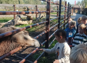 Wycieczka na farmę dyń w Dobroniance