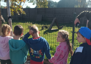 Zdjęcie przedstawia dzieci podczas zwiedzania mini zoo.