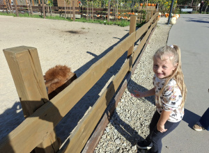 Wycieczka na farmę dyń w Dobroniance