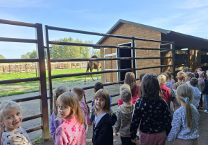 Zdjęcie przedstawia kilka dziewczynek podczas zwiedzania mini zoo.