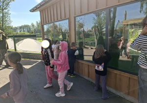 Zdjęcie przedstwaia dzieci podczas zwiedzania mini zoo.