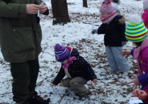 Terenowe warsztaty ekologiczne