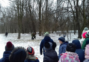 Terenowe warsztaty ekologiczne