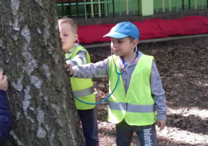 Warsztaty ekologiczne w lesie łagiewnickim