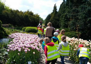 Ogród botaniczny