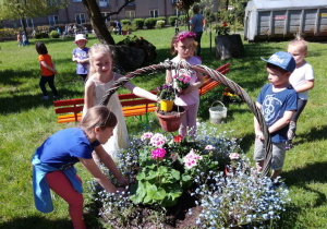 Dosadzanie roślin w ogrodzie przedszkolnym